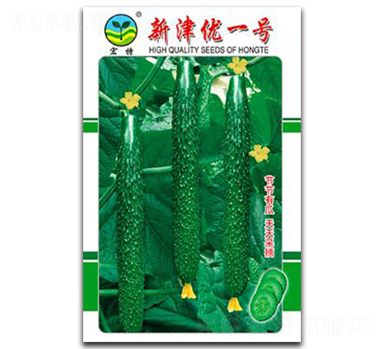 新津優一號-黃瓜種子-宏特