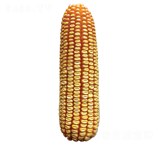 S612-׷N-ԣSNI