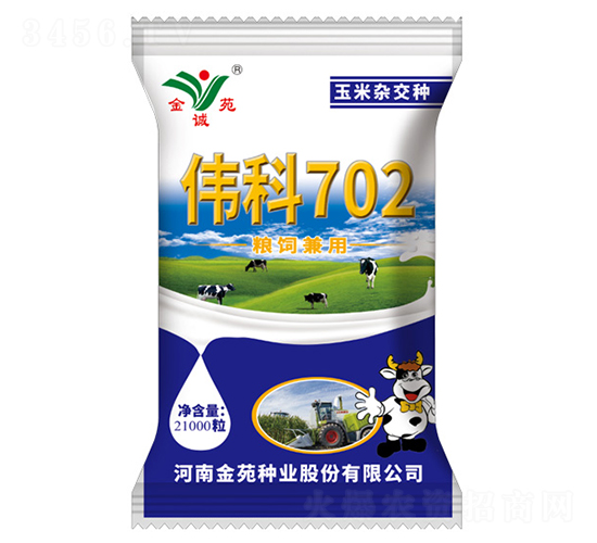 21000粒偉科702-玉米雜交種-金苑種業
