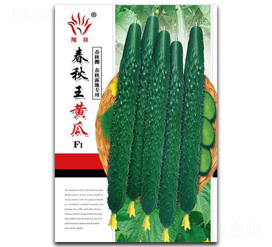 春秋王黃瓜-黃瓜種子-京密種業