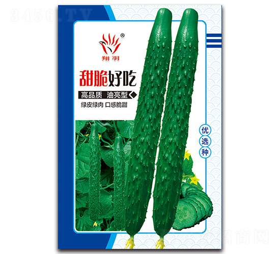 甜脆好吃-黃瓜種子-京密種業