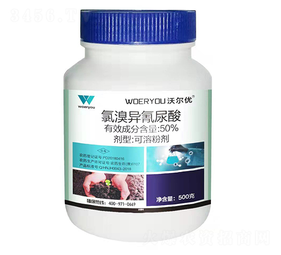50%宐ܷۄ-֠