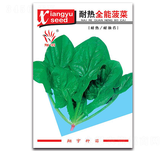 全能菠菜-菠菜種子-京密種業