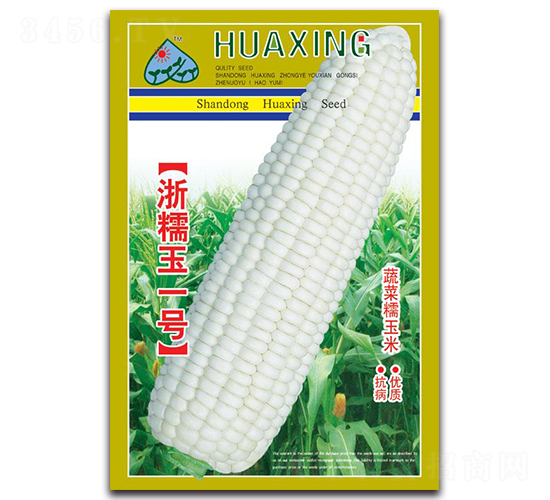 浙糯玉一號(hào)-糯玉米種子-京密種業(yè)