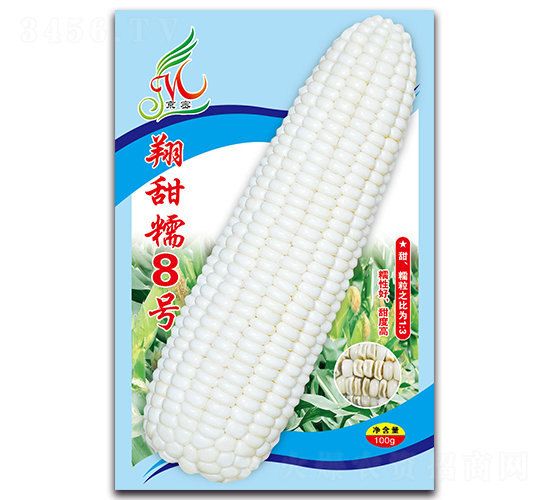 翔甜糯8號-糯玉米種子-京密種業