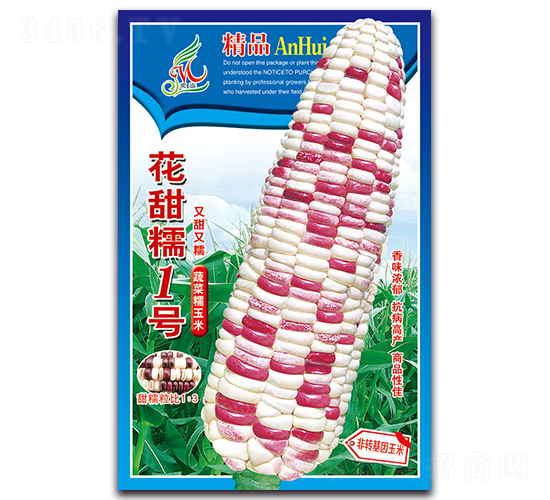 花甜糯1號-糯玉米種子-京密種業