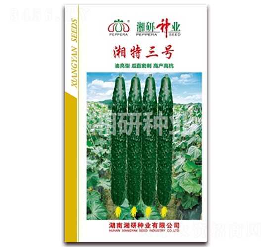 湘特三號-黃瓜種子-湘研種業
