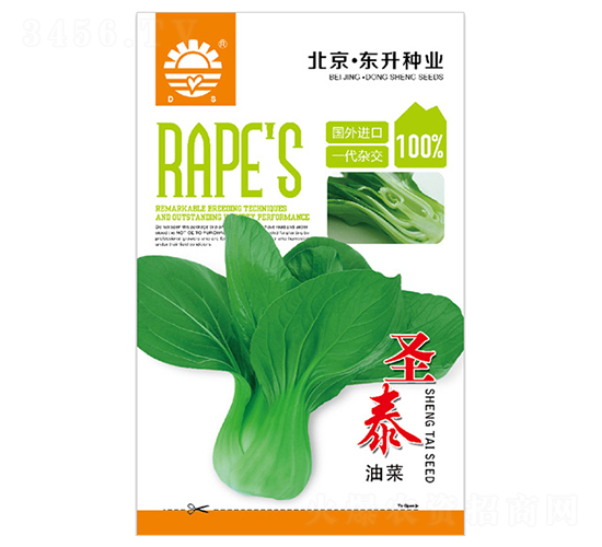 東升圣泰油菜-油菜種子-東升種業