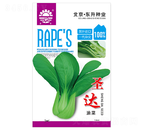 東升圣達油菜-油菜種子-東升種業