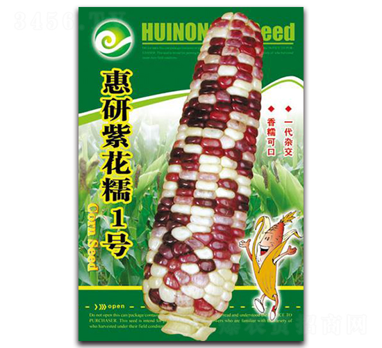 惠研紫花糯1號-糯玉米種子-中創智豐