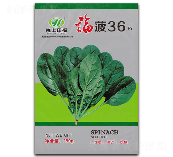 福菠36-菠菜種子-田福農業