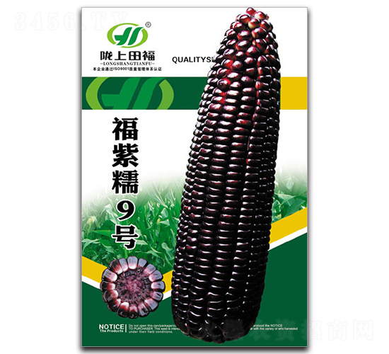 福紫糯9號-玉米種子-田福農業