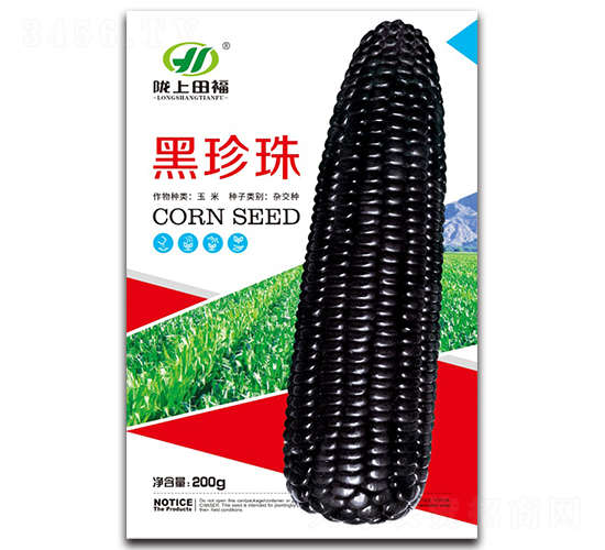黑珍珠-玉米種子-田福農業