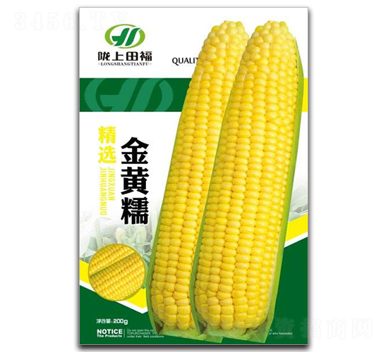 金黃糯-玉米種子-田福農業