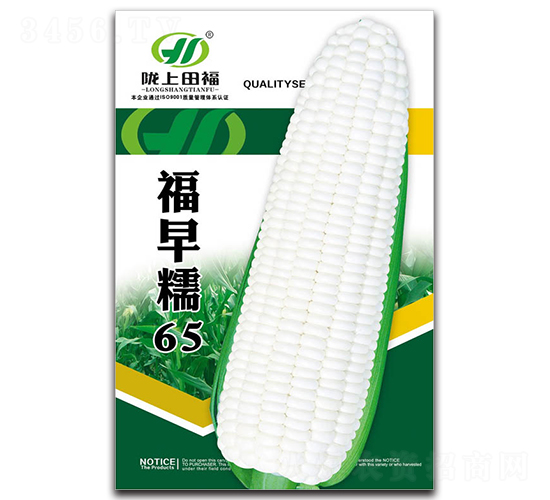福早糯65-玉米種子-田福農業