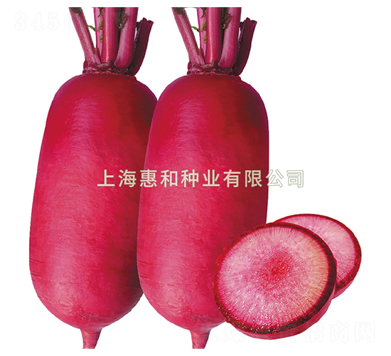 t-}N-ݺͷNI