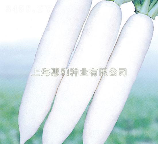 ʹ-}N-ݺͷNI