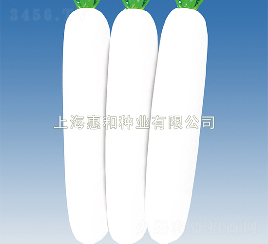 ʹ-}N-ݺͷNI