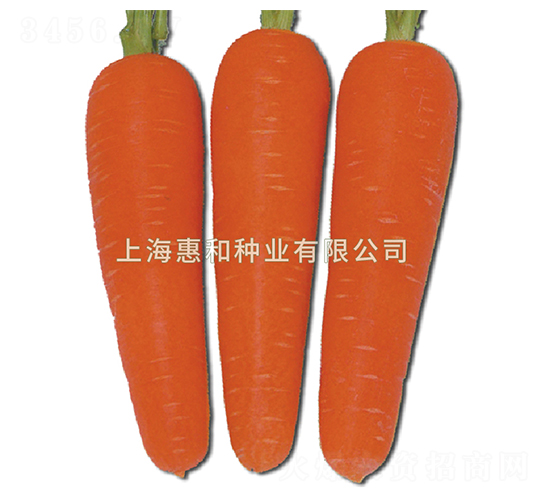 t238-}N-ݺͷNI