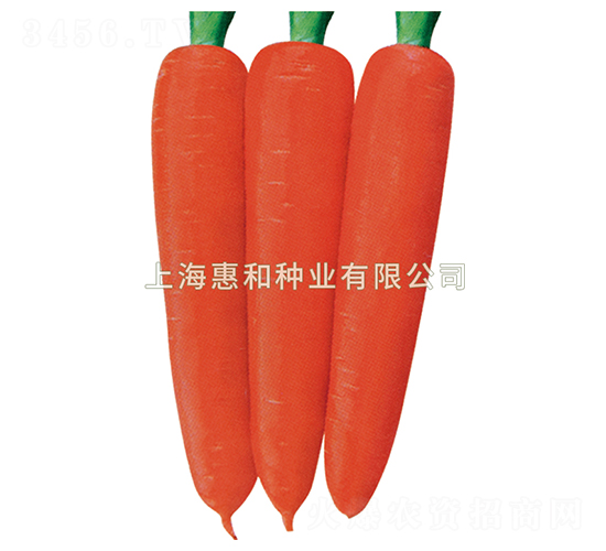 tʥ̖-}N-ݺͷNI