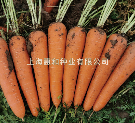ρ907-}N-ݺͷNI