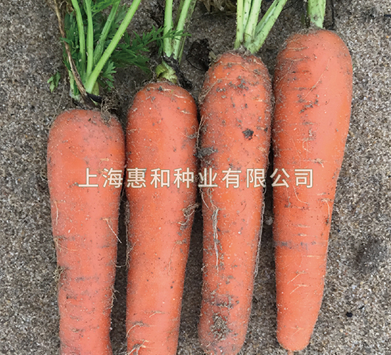 tʥ̖-}N-ݺͷNI