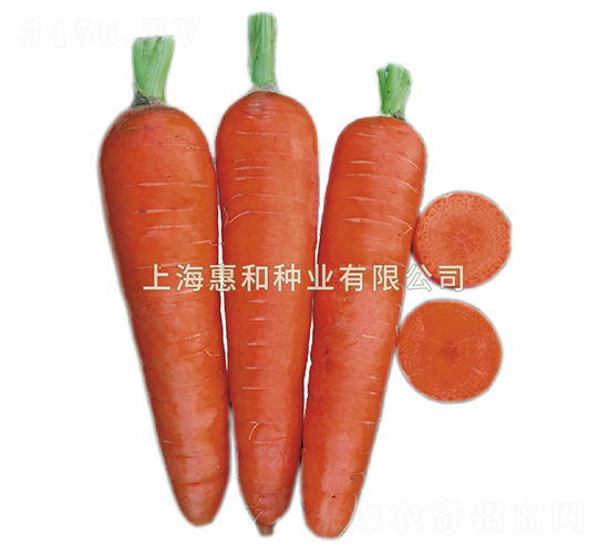 ˹-}N-ݺͷNI
