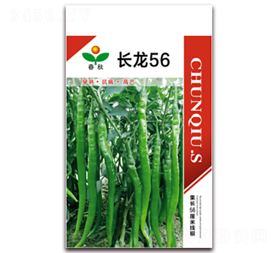 長龍56-辣椒種子-春秋種業