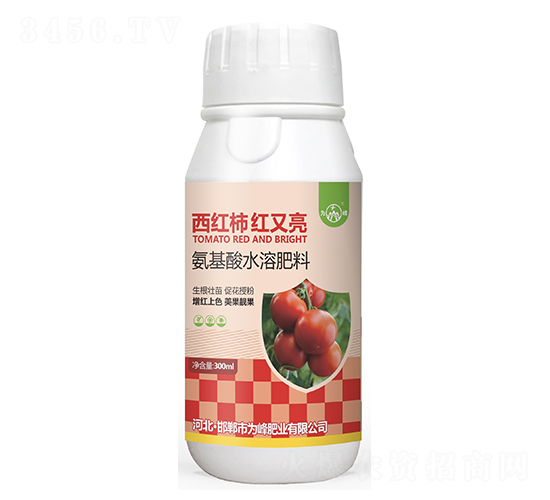 西紅柿紅又亮-為峰肥業