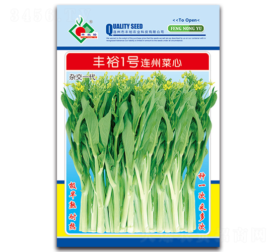 豐裕1號連州菜心-菜心種子-豐裕農業