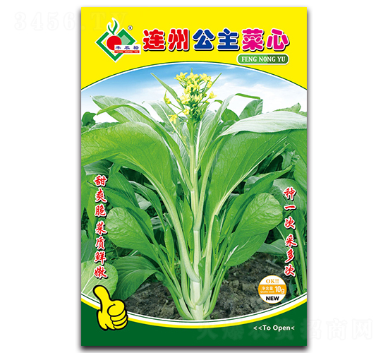 連州公主菜心-菜心種子-豐裕農業