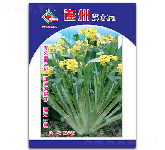 連州菜心F1-菜心種子-豐裕農業