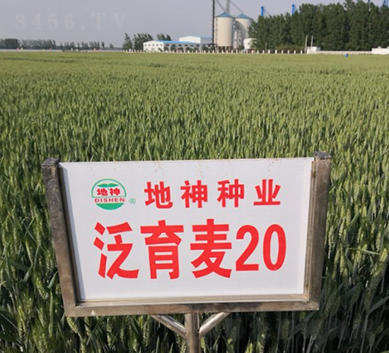 20-СN-NI