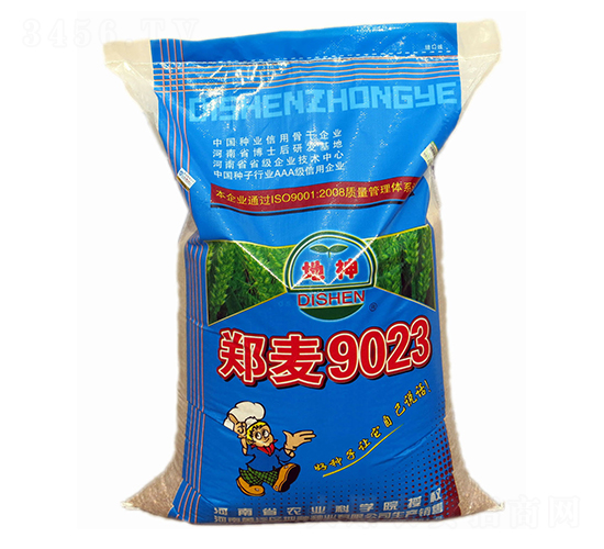 鄭麥9023-小麥種子-地神種業