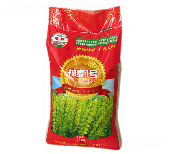 神麥1號-小麥種子-地神種業