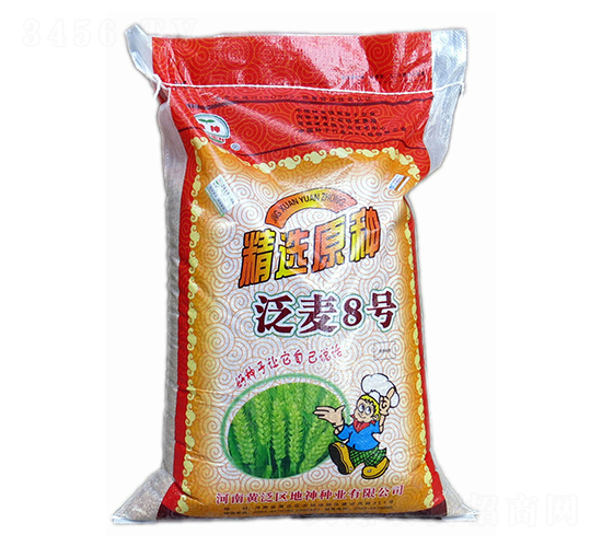 泛麥8號-小麥種子-地神種業