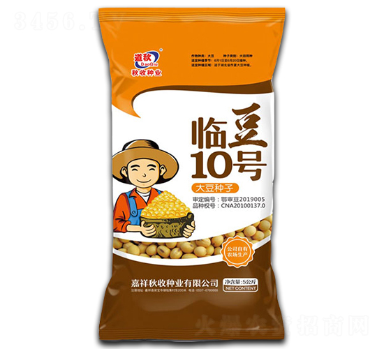 臨豆10號-大豆種子-秋收種業(yè)