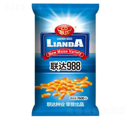 聯達988-玉米種子-聯達種業