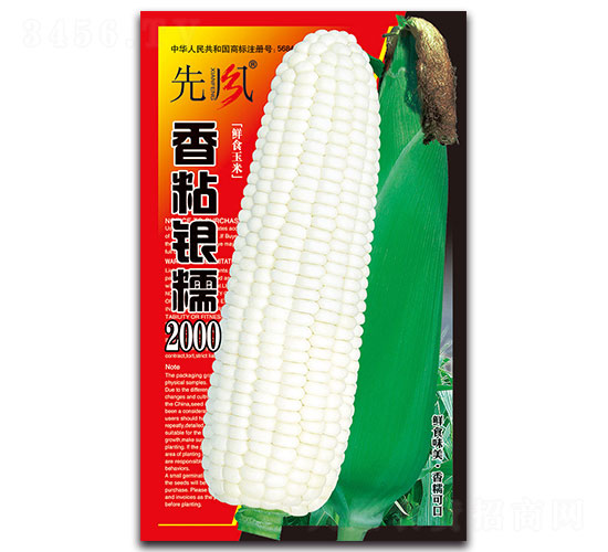 香粘銀糯2000-糯玉米種子-先風