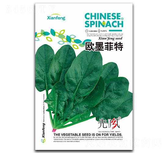 歐墨菲特-菠菜種子-先風