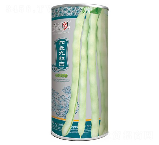 加長九粒白（桶裝）-架豆種子-先風(fēng)