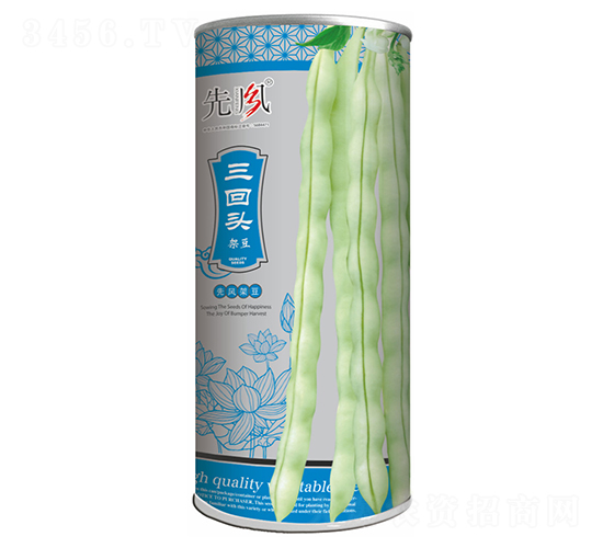 三回頭-架豆種子-先風