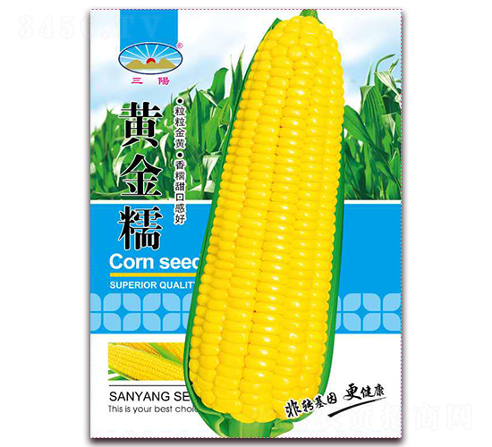黃金糯-糯玉米種子-天和種業