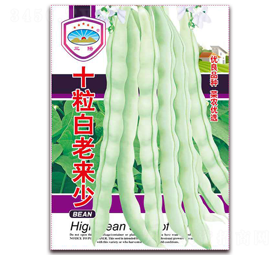 十粒白老來少-豆角種子-天和種業
