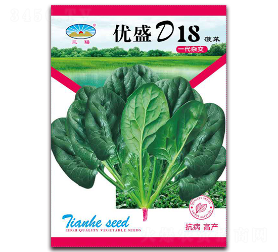 優盛D18菠菜-菠菜角種子-天和種業