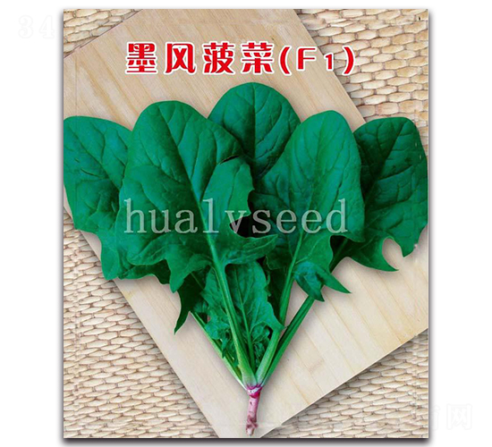 墨風(fēng)菠菜F1-菠菜種子-華綠