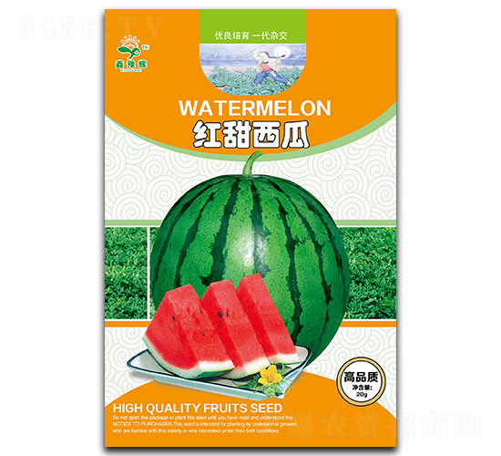 紅甜西瓜-西瓜種子-豫輝種業