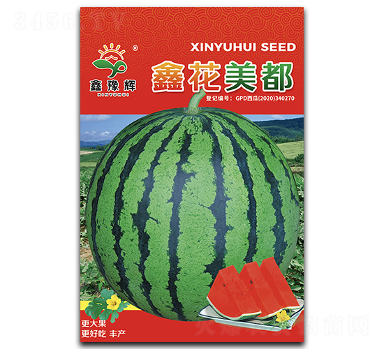鑫花美都-西瓜種子-豫輝種業