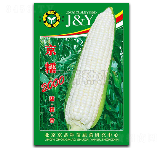 京糯2000-糯玉米種子-國研種業