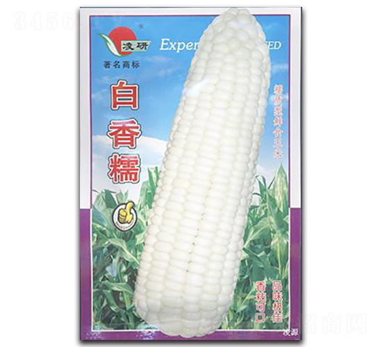 白香糯-糯玉米種子-仁大農業
